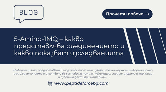 какво е 5 Amino 1MQ
