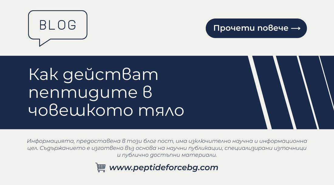 как действат пептидите в човешкото тяло 